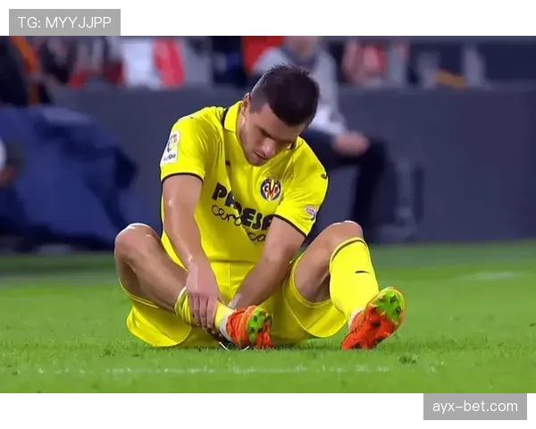 洛塞尔索市场价值飙升，未来前景备受期待