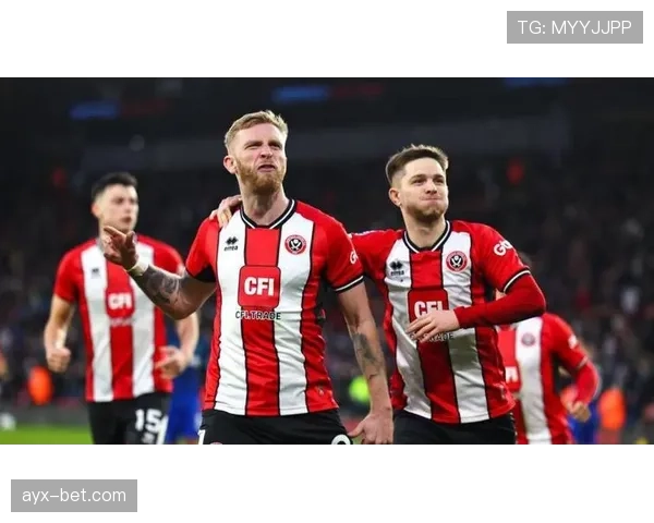 谢菲尔德联奋力拼搏，保级希望重燃英超赛场