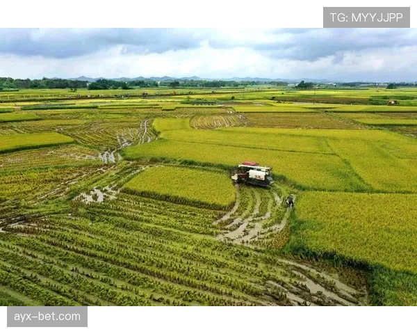 阿姆斯特丹推新政策鼓励可持续交通，助力提升城市空气质量
