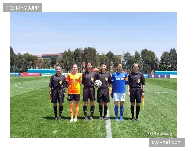 韦阿持续贡献显著，助球队联赛表现稳健